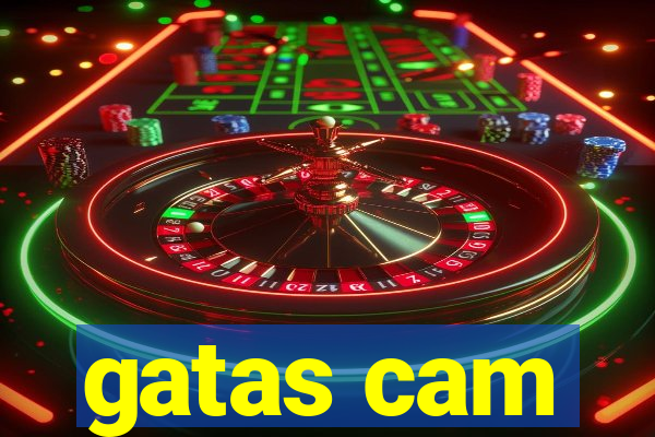 gatas cam